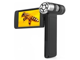 Microscope with bee on screen.