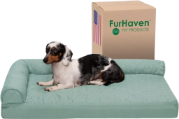 a green pet bed with a small dog on it