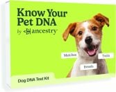 a box for a dog dna test