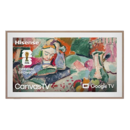 Hisense Canvas TV