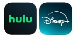 the Hulu and Disney+ icons
