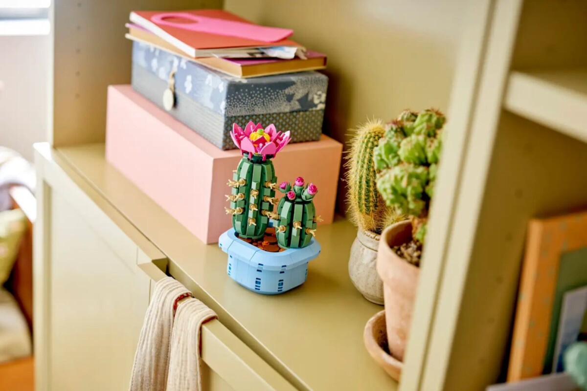 lego flowering cactus on a shelf