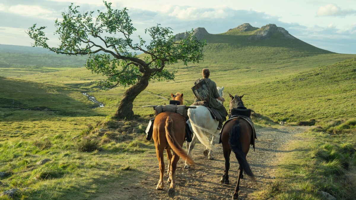 A man rides a horse through a green meadow, while leading two others.