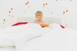 Pok Pok: Lifetime Subscription